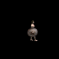 skin_shield_he_6.png skin_shield_he_6.png