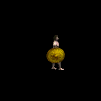 skin_shield_he_4.png skin_shield_he_4.png