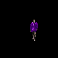 skin_seraph_4.png skin_seraph_4.png
