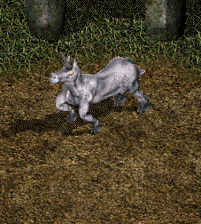 unicorn.png unicorn.png