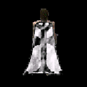 skin_wg_2.png skin_wg_2.png