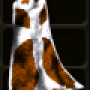 cape_cross_orange.png