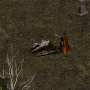 aaing_the_avatar.png