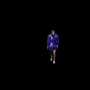 skin_seraph_7.png